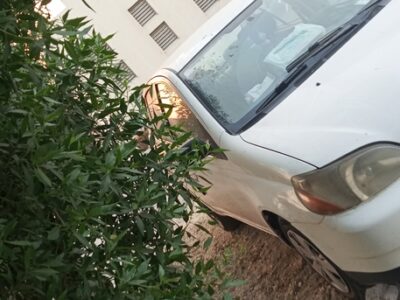 Toyota Echo 2002